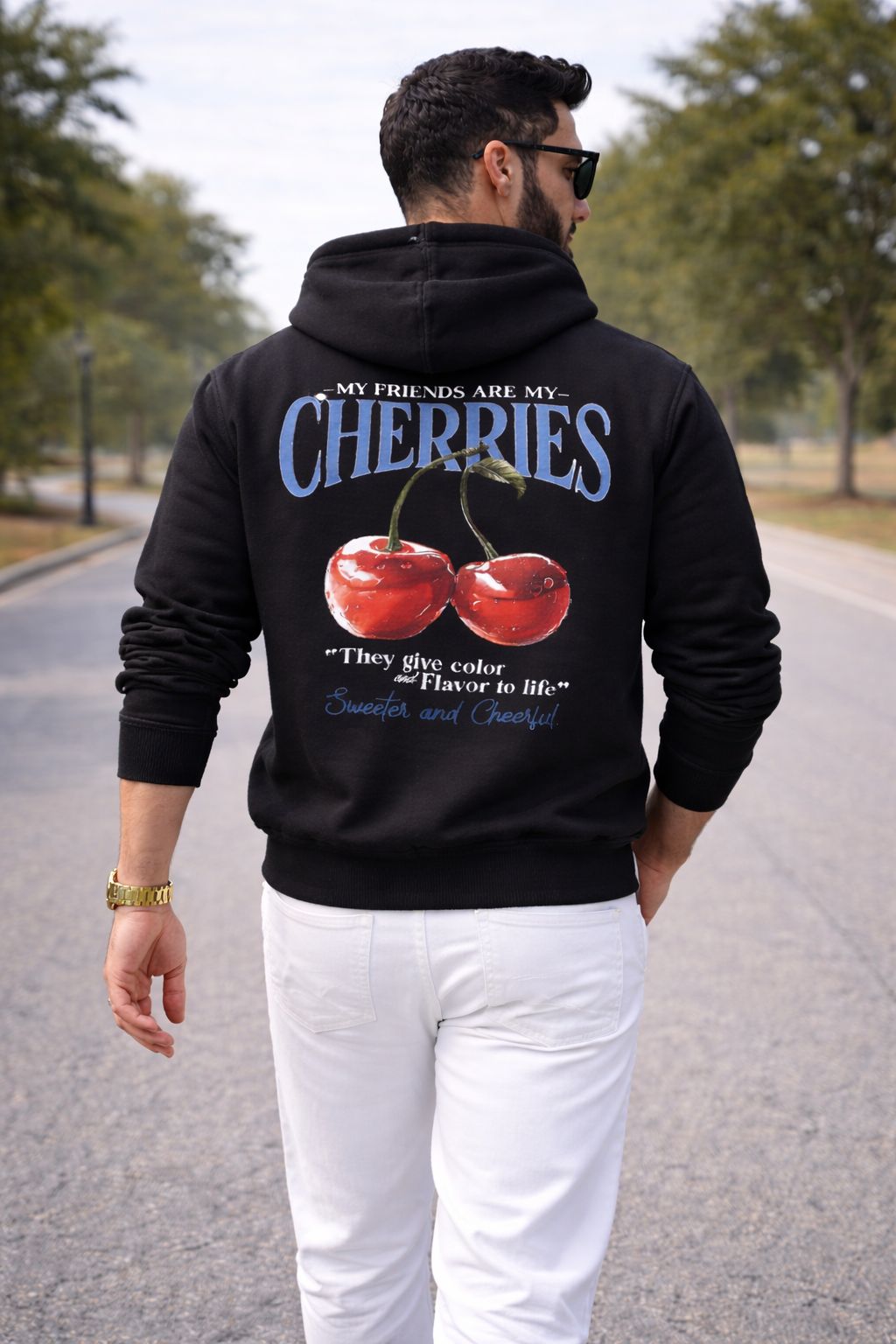 men's hoddiee men's hoddiee